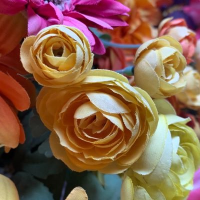 86_hello_30's profile picture. 鹿サポ／B'z／関ジャニ∞／SMAP