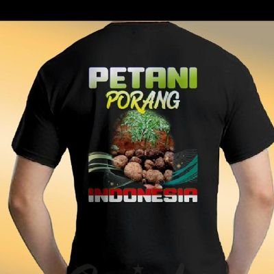 jual bibit Porang 
wa 085332317249