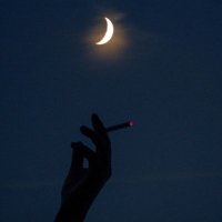 Ayeza_Anwar (@ayeza_anwar24) 's Twitter Profile