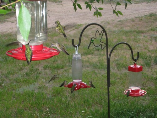 PoudreRiver's profile picture. Mountain Cabins, RV and Tent sites on the Poudre River. Country Store and Canyon Grille, Propane and Gasoline