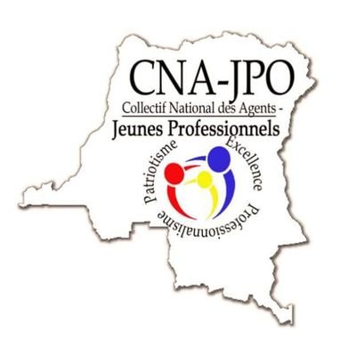 Cadre de réflexion, planification et actions de promotion des Jeunes Professionnels au sein de l'administration publique congolaise