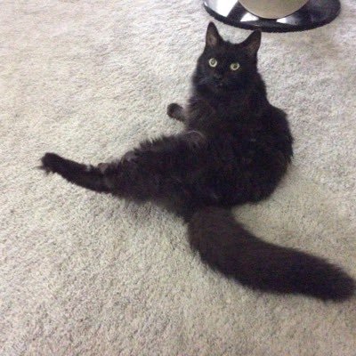 Jamram171's profile picture. 