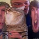 Andy Cobb - @MiniMinuteMovie - Twitter