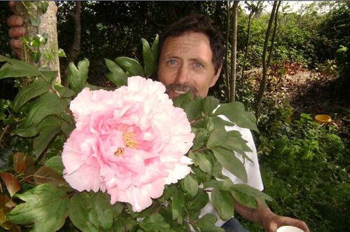 plantlord's profile picture. John Lord is owner of Ratoath Garden Centre and  Ratoath Gardens where he puts his garden ideas into practice. John is (particularly perennial) plant mad.