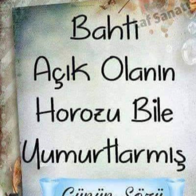 alaskanisland's profile picture. Paylaşmak İyidir / Bu Sayfada Sadece Tahminler Var .. Herkes Kendi Göbeğini Kendisi Kessin🍙❄️🎼🚘