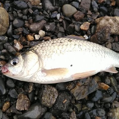 melonspa's profile picture. 釣りと相撲と
スポーツ観戦とライブ