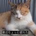 @markabu0903