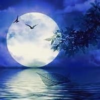 Nikhil (@nikhil17557029) 's Twitter Profile
