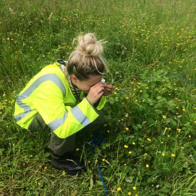 all things wildlife 🦡🌿🦔 but mostly botany 🌸 - Ecologist