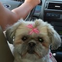 Dawn Nadeau - @tiptopmom3 - Twitter