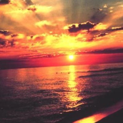 Amelie_Pierr's profile picture. 