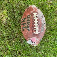 Dave Hartman (@pigskinpapers) 's Twitter Profile Photo Dave Hartman (@pigskinpapers) 's Twitter Profile Photo
