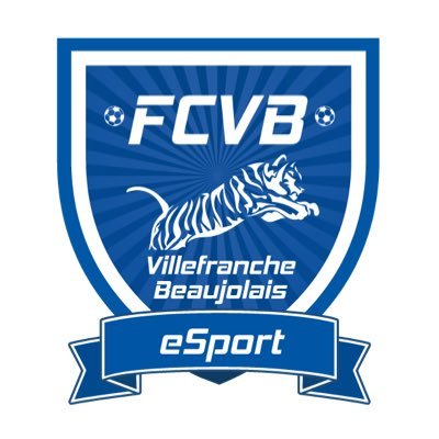 Section Club Pro du @FCVBeSport | Représentant sur FIFA du @FCVB_Officiel ⚽️| Compte officiel des équipes eSport - espoir - académie | @epromanager @VPGfrance_