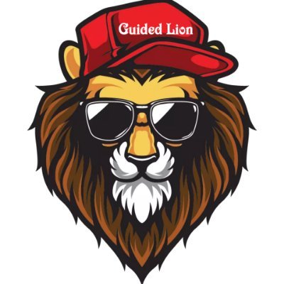 guided_lion Profile Picture