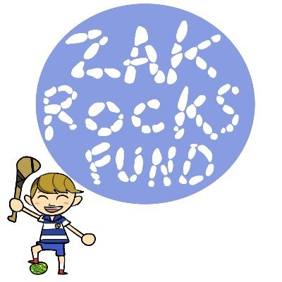 ZakFund's profile picture. Zak Moran is a very active GAA loving 11 year old from Meath, Ireland who is currently fighting a Grade 4 malignant tumour. https://t.co/rhWm2UeK4t