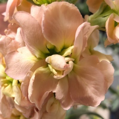 ConcordPs5's profile picture. 