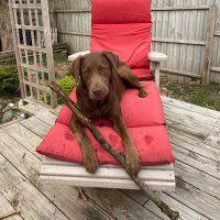 Bobby Franks (@rfrankiee) 's Twitter Profile