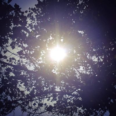 NazaretProducc1's profile picture. Newsletter