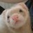 glv1012's profile image