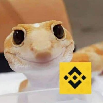 Gekko (Binance Angel) 🇩🇪🌍
I'll never PM first! Beware of scammers who impersonate me