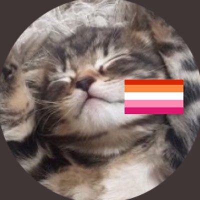 lesbian cats ⚢さんのプロフィール画像