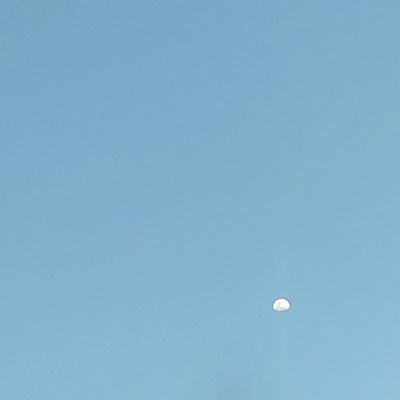 99104M053's profile picture. 