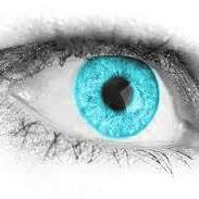Lasik Complications (@lasikrisks) 's Twitter Profile