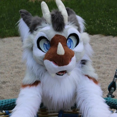 Hey there! 
I'm a Wolf/Dragon Hybrid who loves to draw
I also enjoy fursuiting and hanging out with friends!