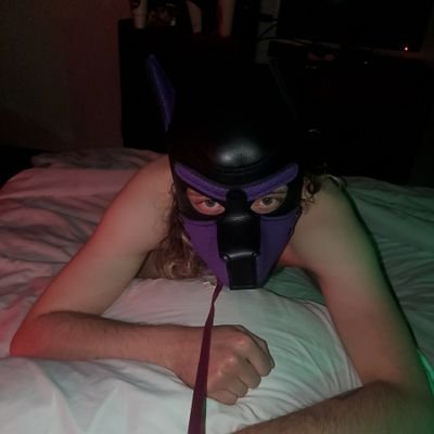 Alastor_AD's profile picture. 32 yo Gaymer fur starting their life over. This is an 18+ only account so adults only #gay #versbttm #rawislaw