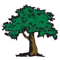 Emerald Tree & Shrub Care Company (est. 1996) is proud to offer a complete range of tree and plant care services to keep your landscape in top condition.