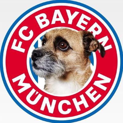 Ball Knowledge Lvl 💯 , Musiala probz, FC Bayern-Doggo.
Feel free to follow :) ✌️