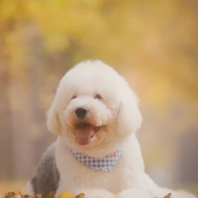 n4FMARpMqeq0Xhj's profile picture. 什么都不会，就是玩