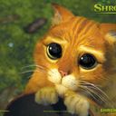 luis riveros muñoz - @luchomaxum - Twitter