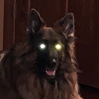 Tbone’s Ghost(@sundeviltrouble) 's Twitter Profile Photo