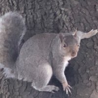 EDIUltraQuestions Agent 5851 (@ediquestions) 's Twitter Profile