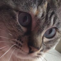 とろこ@投資 (@noux2zwkhrzgchm) Twitter profile photo