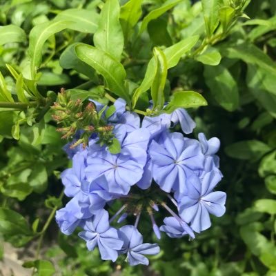 Mollylovelonely's profile picture. 