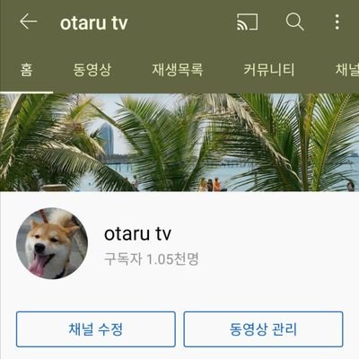 otaru tv : 여행. 일상.
운동남 : 골프. 필라테스.
소리랑음악 : 피아노. 음악. 악기