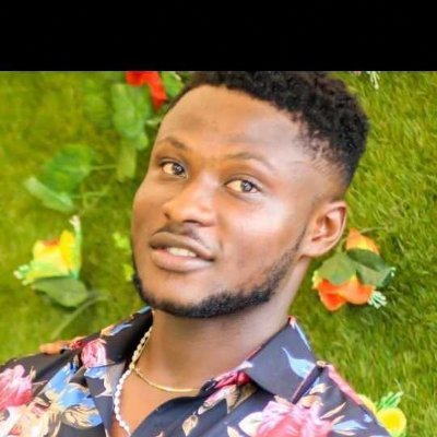 Electrical and electronic engineer 👨💻 Philanthropist AI Analyst blogger Social activist