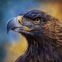 🦅ᴍᴀx ᴋᴀᴍᴇxᴛᴀ (@maxkamexta) 's Twitter Profile