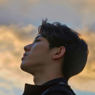 rochierochier's profile picture. 