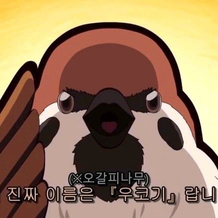 츈 셀러브리티さんのプロフィール画像