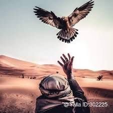 lXedUlJq8UcLpUt's profile picture. ليتني مت قبل هاذا وكنت نسي منسيا