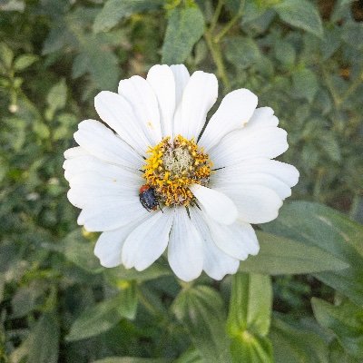 Ibrahim_Shobali's profile picture. اللهم صل على محمد