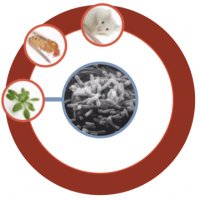 Rahme Lab (@rahmelab) 's Twitter Profile Photo Rahme Lab (@rahmelab) 's Twitter Profile Photo