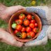 UC Future of Food (@uc_foodfutures) Twitter profile photo UC Future of Food (@uc_foodfutures) Twitter profile photo