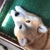Saty (@sh29sep) Twitter profile photo Saty (@sh29sep) Twitter profile photo