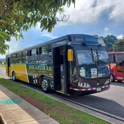 Alexand56057796's profile picture. 