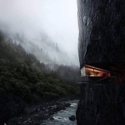 yalyasofe's profile picture. 