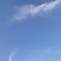 gfgjouff (@gfgjouff) 's Twitter Profile